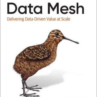 Data Mesh Delivering Data-Driven Value at Scale 1st Edition by Zhamak Dehghani