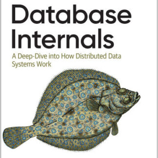 Database Internals A Deep Dive into How Distributed Data Systems Work