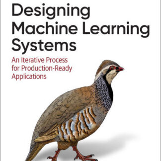 Designing Machine Learning Systems An Iterative Process for Production-Ready Applications