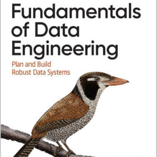 Fundamentals of Data Engineering Plan and Build Robust Data Systems by Joe Reis