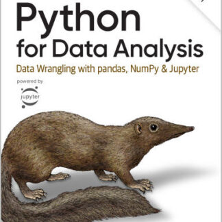 Python for Data Analysis Data Wrangling with pandas NumPy and Jupyter 3rd Edition